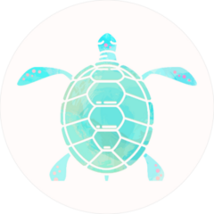 Light Blue Turtle Sticker
