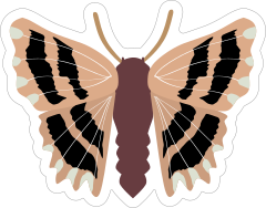 Light Pink Butterfly Moth Sticker