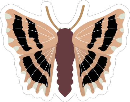 Light Pink Butterfly Moth Sticker