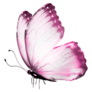 Light Pink Butterfly Sticker