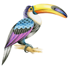 Lightly Colored Bird Toucan Sticker