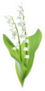 Lilies Of The Valley Sticker