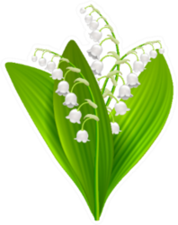 Lilly Of The Valley Illustration Sticker