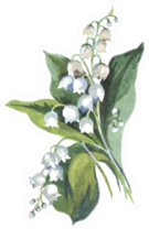 Lily Of The Valley Watercolor Illustration Sticker