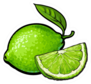Limes Illustration Sticker