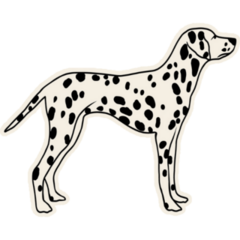 Line Art Dalmatian Sticker