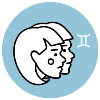 Line Art Gemini Circle Sticker