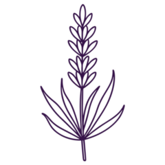 Line Art Lavender Sticker