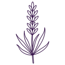 Line Art Lavender Sticker