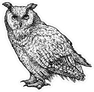 Line Art Owl Sticker