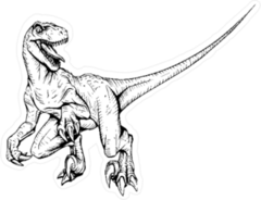 Line Art Velociraptor Illustration