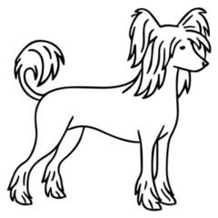 Line Chinese Crested Sticker