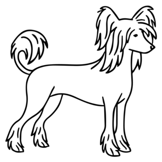 Line Chinese Crested Sticker