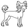Line Chinese Crested Sticker