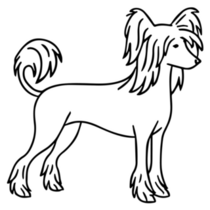 Line Chinese Crested Sticker