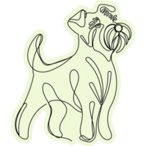 Line Doodle Schnauzer Sticker
