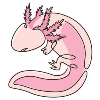 Line Drawing Axolotl Sticker