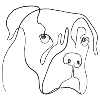 Line Drawing Boxer Sticker