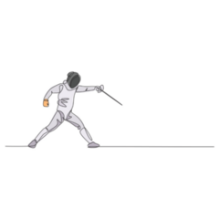 Line Drawing Fencing Sticker