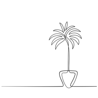 Line Drawing House Palm Tree
