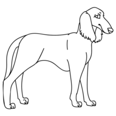 Line Saluki Sticker