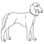 Line Saluki Sticker
