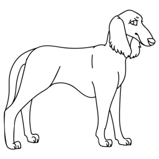 Line Saluki Sticker