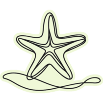 Line Starfish Sticker