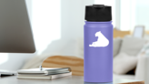 Lioness Lion Laying Down Sticker on a Water Bottle (New) example