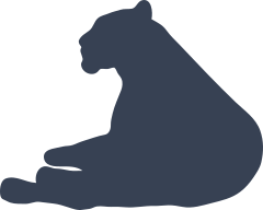 Lioness Lion Laying Down Sticker