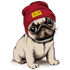 Little Beanie Pug Sticker