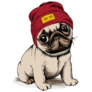 Little Beanie Pug Sticker