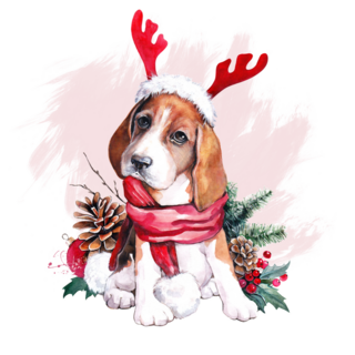 Little Christmas Beagle Sticker