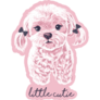 Little Cutie Maltese Sticker