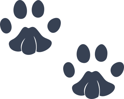 Little Paw Prints Sticker