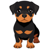 Little Rottweiler Sticker