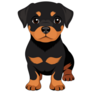 Little Rottweiler Sticker