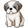 Little Shih Tzu Sticker