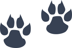 Little Wildcat Paw Prints Sticker