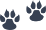 Little Wildcat Paw Prints Sticker