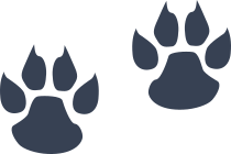 Little Wildcat Paw Prints Sticker