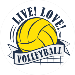 Live Love Volleyball Sticker