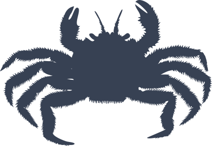 Lively Crab Sticker