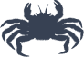 Lively Crab Sticker