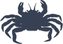 Lively Crab Sticker