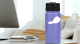 Lively Snail Sticker on a Water Bottle (New) example