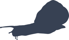 Lively Snail Sticker