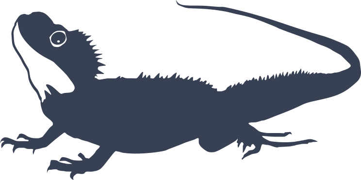 Lizard Gecko Looking For Something Sticker