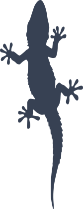 Lizard Gecko Silhouette Sticker