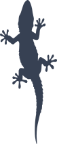 Lizard Gecko Silhouette Sticker